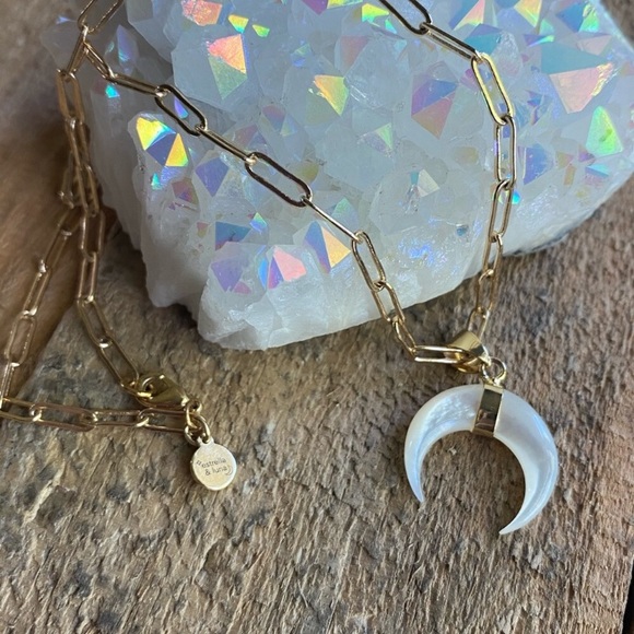 ❗️Last One❗️Mother of Pearl Double Horn Gold Necklace - Picture 6 of 12